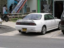 cruise001.jpg