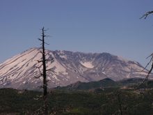 DSC_0958.JPG