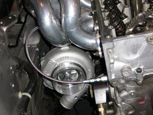 IMG_3105 copy.jpg