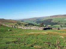 DSC_0049.JPG