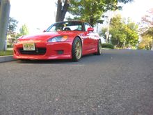 Picture 003.jpg