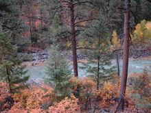 DSC_0339.JPG