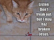 funny-pictures-cat-worries-he-has-broken-jesus.jpg