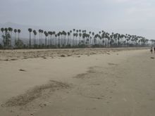 DSCN8215.JPG