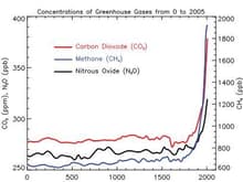 greenhouse contribution.jpg