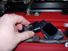 DSCN8243.jpg