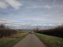 DSC00091 (Large).JPG