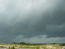 DSC00311.JPG