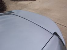 100_5585.JPG