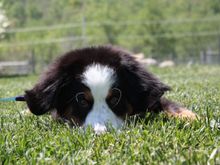 Creepin tru da grass