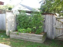 IMG_1384.JPG