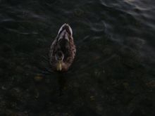DSCN8513.JPG