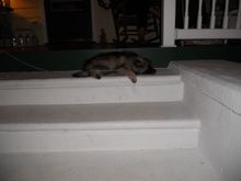 DSCN0460.JPG