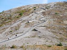 DSC_0133.jpg