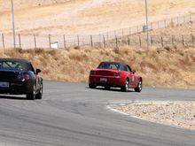 twohoos_wsir_8-05_08a.jpg