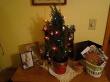 2010-12-25 Christmas
