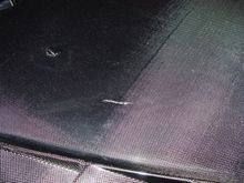 DSC00484.JPG