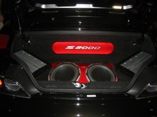 R trunk.jpg