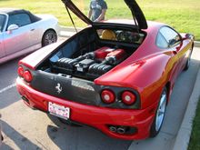 IMG_0239.JPG