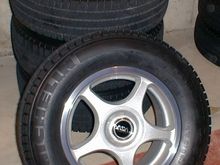 CRV_ArcticAlpins.jpg
