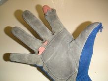 glove.JPG