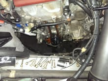 Front Timing Cover Must Come Off