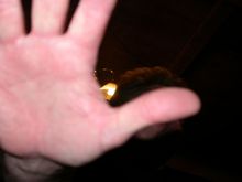 DSCN9390.JPG