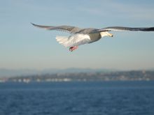 DSC_0064.JPG