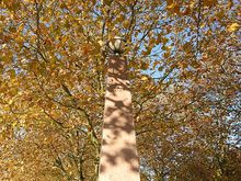 park6.jpg