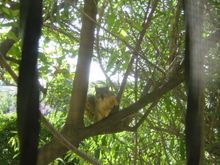 DSC01352.JPG
