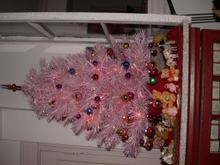 DSCN6224.JPG