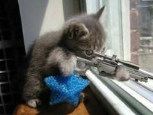 sniper.jpg