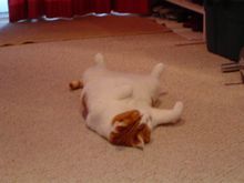 DSC01165.JPG