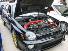 IMG_0529.JPG