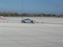 IMG_0392.jpg