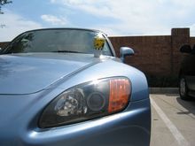 IMG_0439.jpg