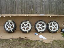 Bagged.JPG
