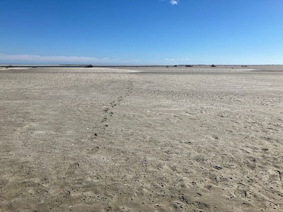 A long way to get to the water. Walking on the ocean's floor.....low tide