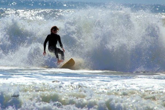 Surf's up!
