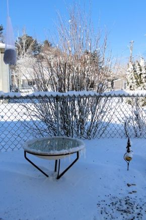 Heated bird bath in too deep for a good cleaning, splashed some water in.