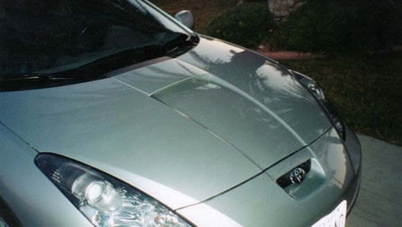 zainoed hood 1.JPG