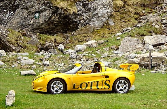 lotus_3.jpg