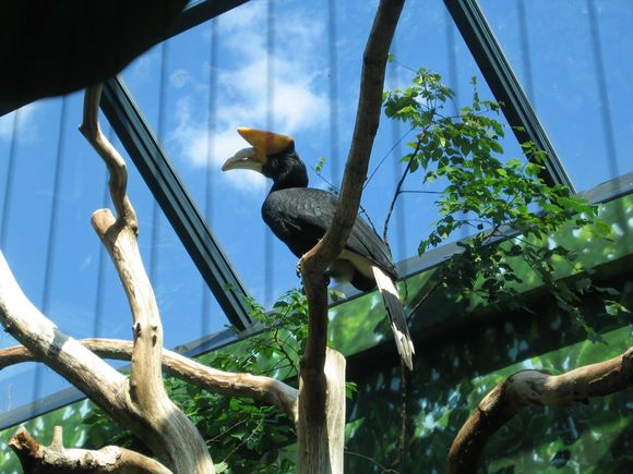 Zoo Trip 003.jpg