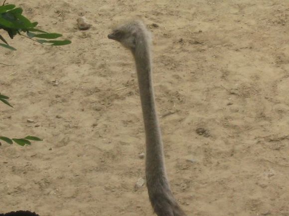 Zoo_5-30-04 011.jpg