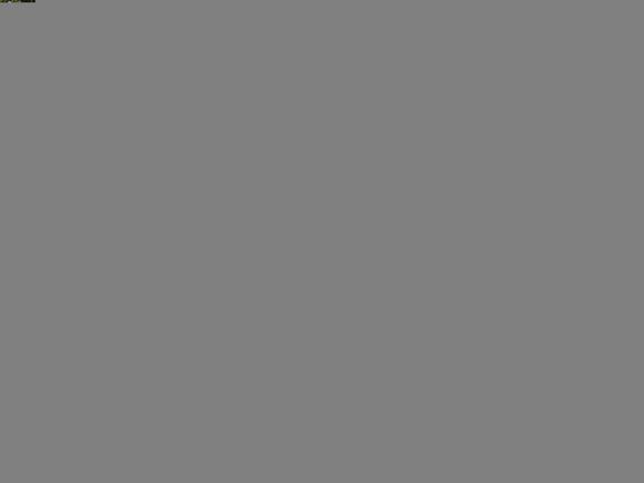 P9080053.JPG