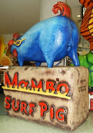 Surf pig.JPG