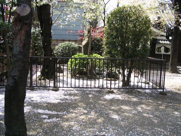 Tokyo 4/10/05