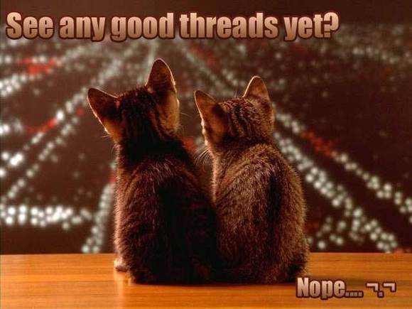 Cats