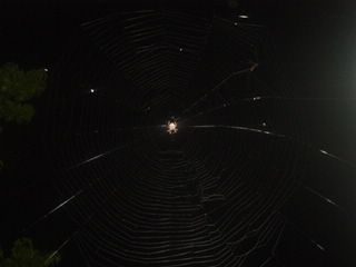DSC02676.JPG