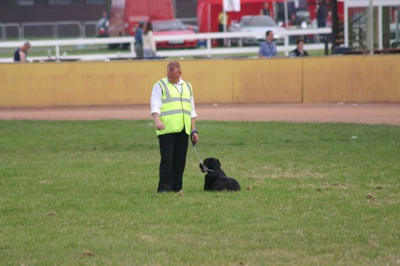 image083.jpg